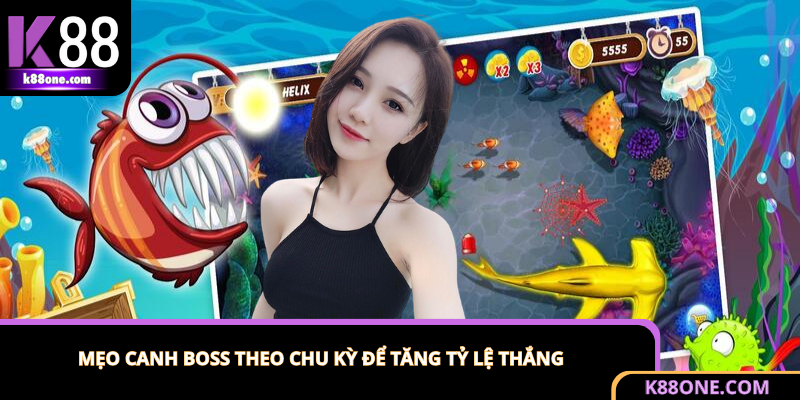Chiến thuật săn boss trong game bắn cá theo chu kỳ 