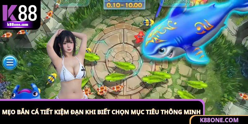 Tối ưu lượng đạn khi bắn bằng cách chọn cá phù hợp